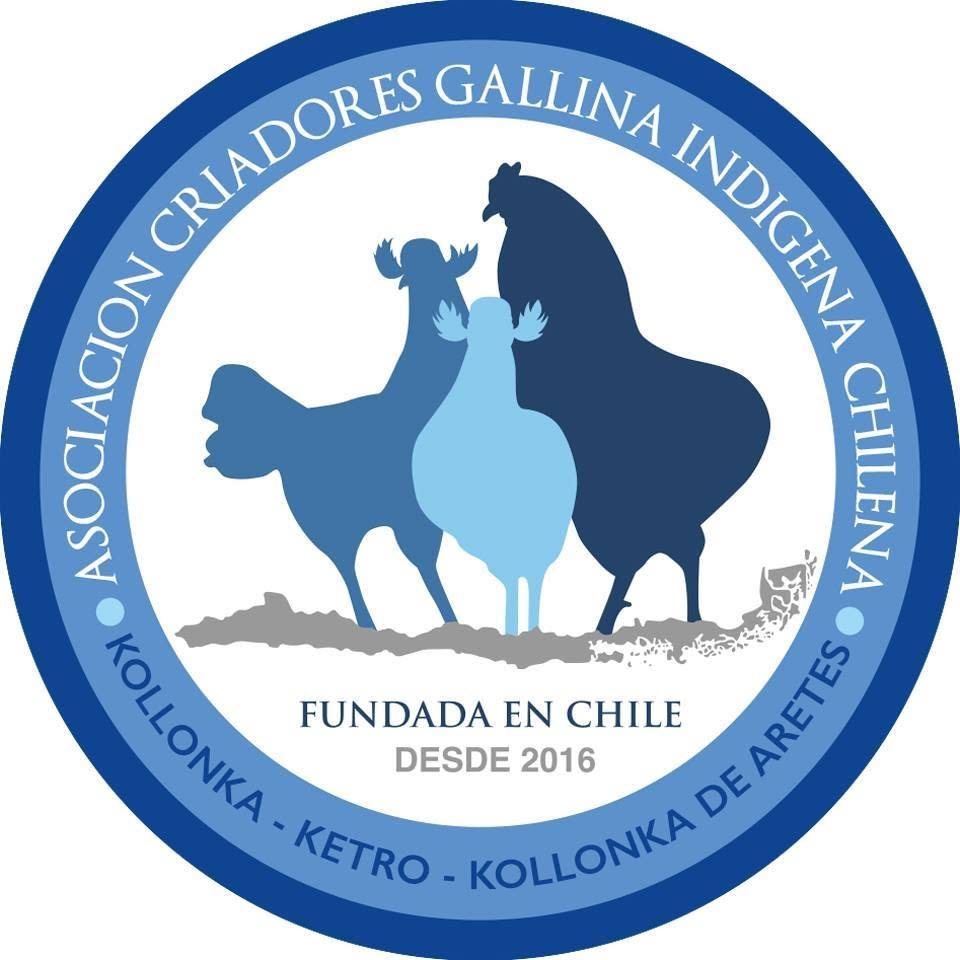 Logo oficial completo de ASOGICH — Asociación de Criadores de Gallina Indígena Chilena